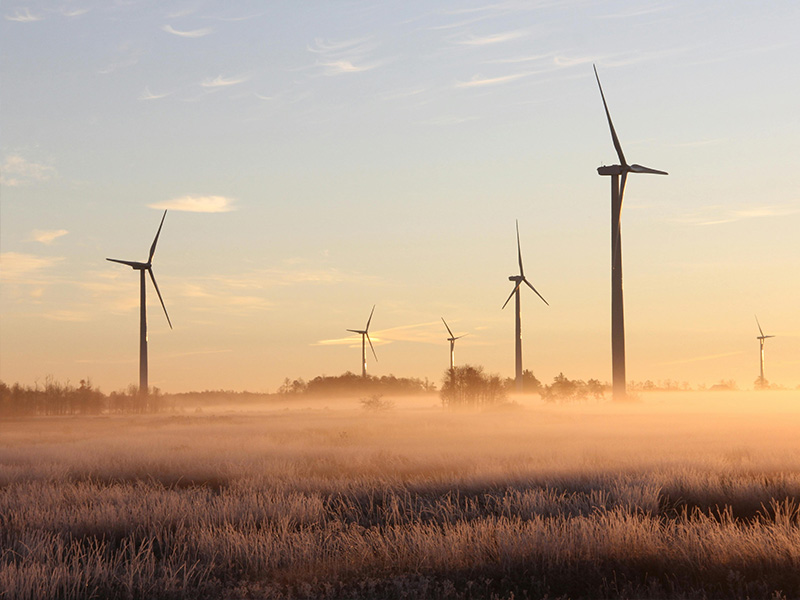 Investment partnership